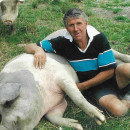 HORROCKS: John Lindsay